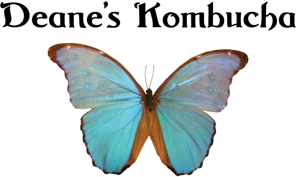 deanes kombucha logo